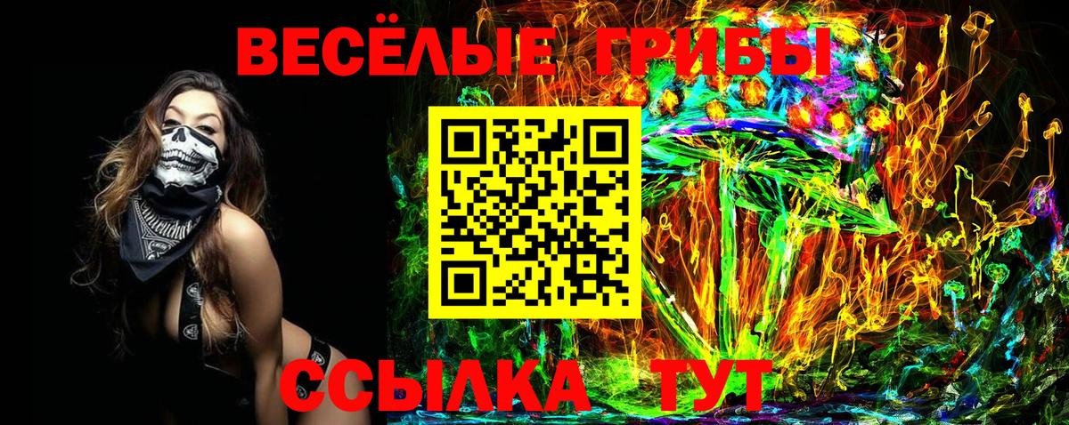 Галлюциногенные грибы прущие грибы Заводоуковск