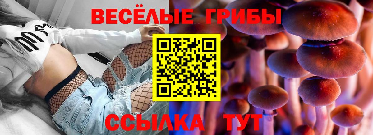 Псилоцибиновые грибы мицелий  Вход с VPN  Заводоуковск 