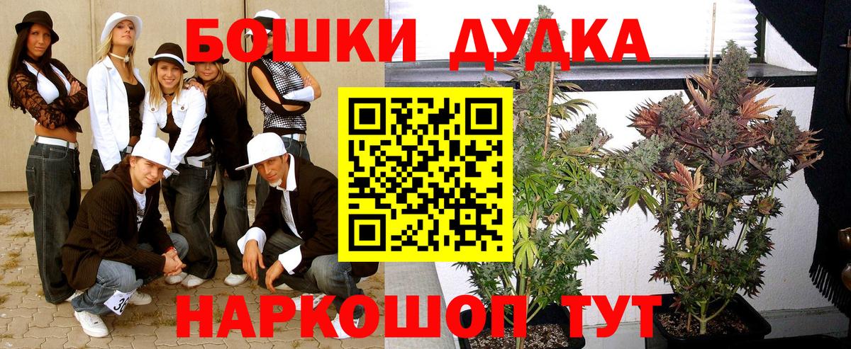 Шишки марихуана OG Kush  Вход с VPN  Заводоуковск  Конопля сатива 